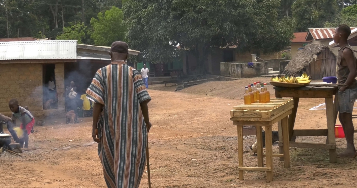 A street scene in a rural village, Guinea