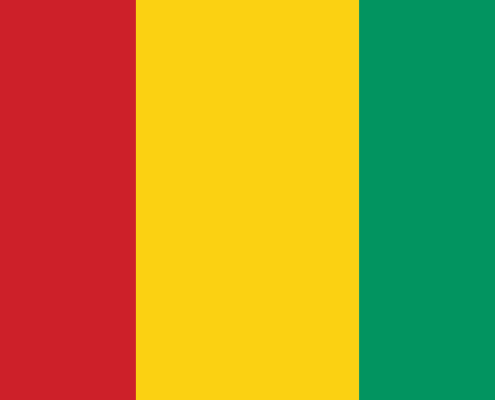 Guinea Flag